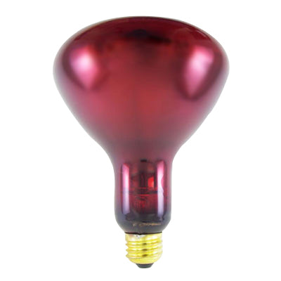 Accessories - Ruby or Ceramic Bulb - each, 110V