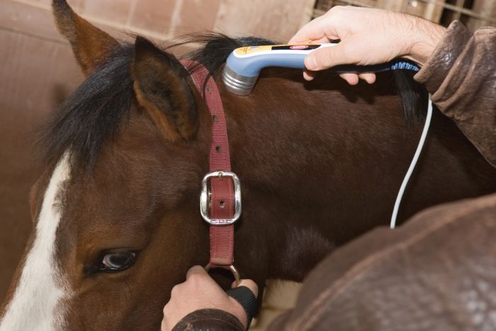 Intelect Vet Therapy Device - Electrotherapy / Ultrasound / Combo / Laser