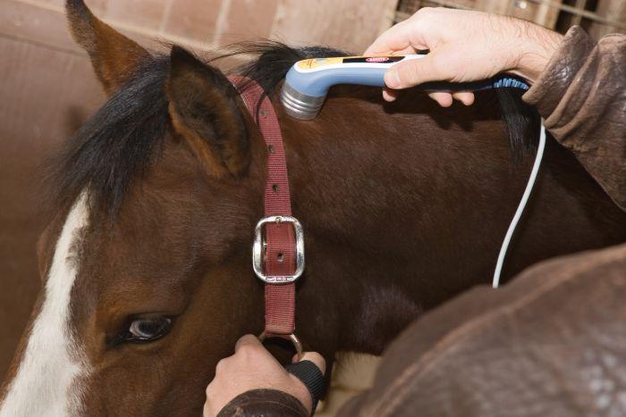 LASER THERAPY MODULE for INTELECT VET - US MED REHAB